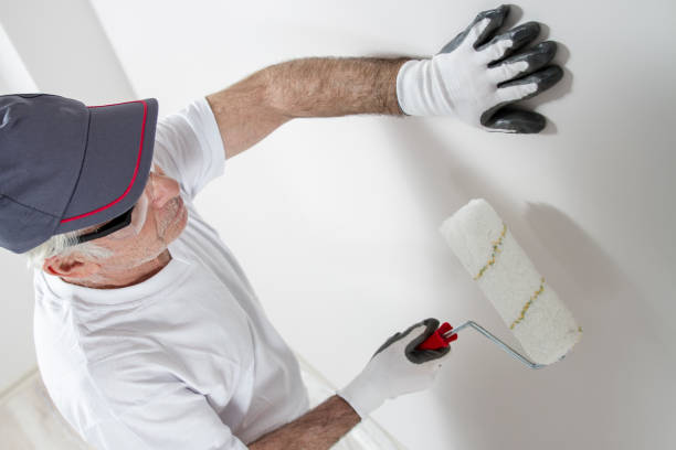 Best Mold Removal for HVAC Installations  in Hancock, MI