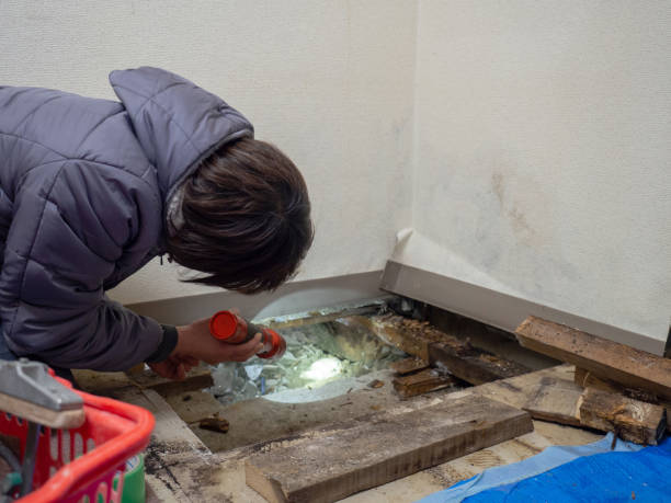 Best Residential Mold Inspection & Testing  in Hancock, MI