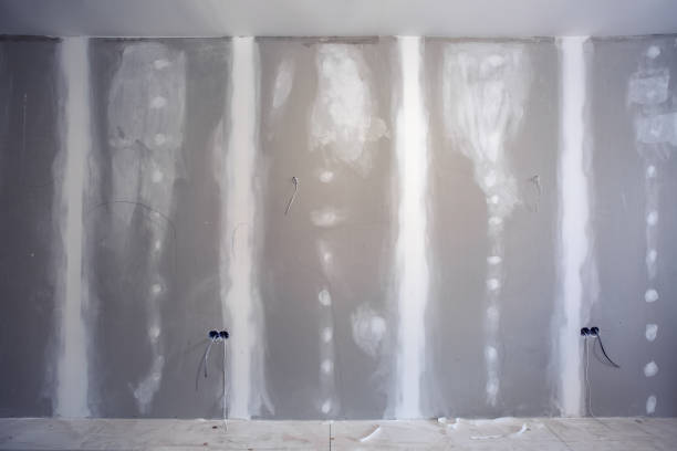 Best Comprehensive Air Testing for Mold Contaminants  in Hancock, MI